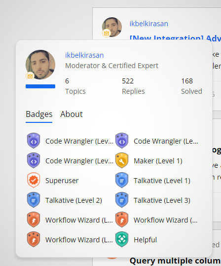 Example Discourse community expert user profile